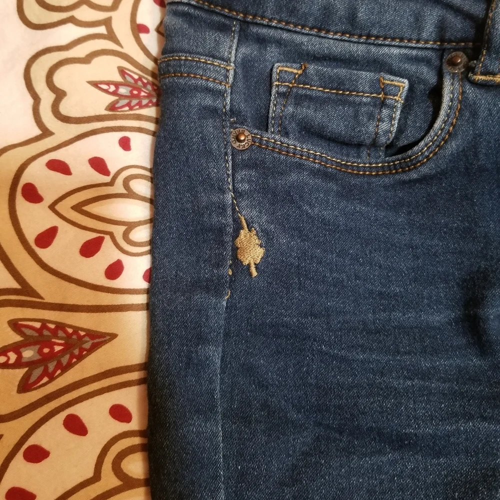 **CLEARANCE** Lucky Brand Girl's Jeans 10 Dark Blue Skinny Jeggings Pockets